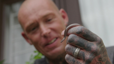 Imagen de Serpientes en la ciudad: Un monstruo bajo la cama - 5