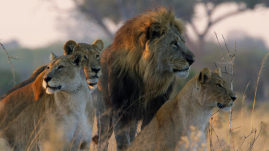 Imagen de Savage Kingdom 2: La...: Matarreyes - 5