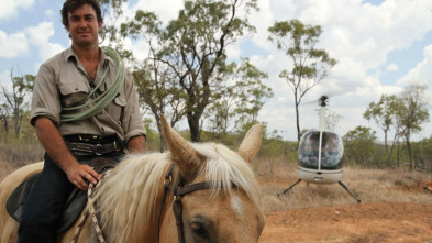 Un vaquero australiano: Acampando con cocodrilos