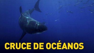 Imagen de Cruce de océanos - 5