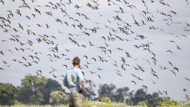 Imagen de La inundación del...: Primer impulso - 5