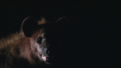 Imagen de El reino letal de África: Kalahari - 5