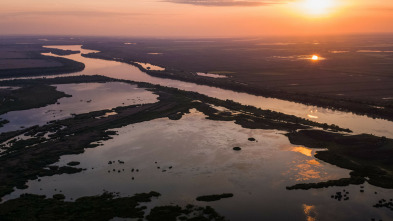 Europa: naturaleza...: El Amazonas europeo