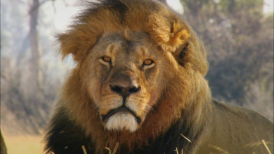 Imagen de Cecil: el legado de un rey - 6