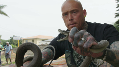 Imagen de Serpientes en la ciudad: Cobras aguafiestas - 5