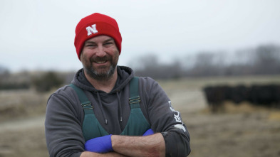 Veterinarios de Nebraska: Nacimiento de perritos