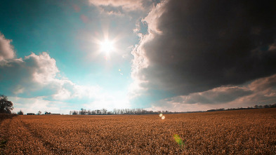 Imagen de El increíble doctor Pol: Aquí llega la cobaya - 3