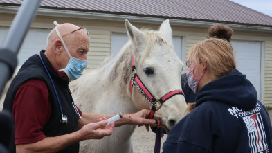 Imagen de El increíble doctor Pol: Caniches y compañía - 3