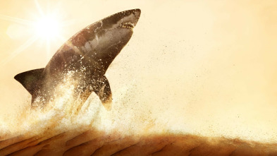 Imagen de Los tiburones del mar Rojo - 3
