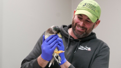 Veterinarios de Nebraska: Tienes un amigo en mí