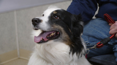 Imagen de Lo mejor de El...: Recuperaciones Pol-extraordinarias - 5