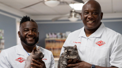 Imagen de Critter fixers:...: Una cabra muy hinchada - 4