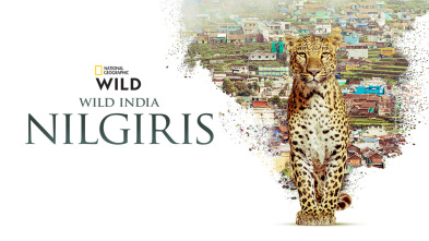 Imagen de Wild India: Nilgiris - 3