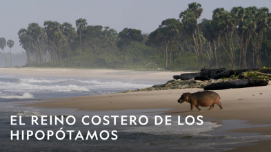 Imagen de El reino costero de los hipopótamos - 3