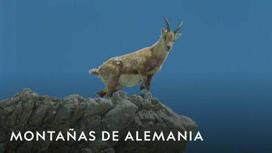 Imagen de Montañas de Alemania: Sobreviviendo en los Alpes - 3