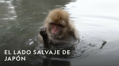 Imagen de El lado salvaje de...: Nuevas Generaciones - 4