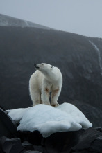 Imagen de Guerreros de los océanos - 11