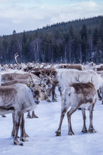 Europa: naturaleza...: Una tierra de hielo y nieve