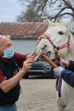 Imagen de El increíble doctor Pol: Juego de huesos - 2