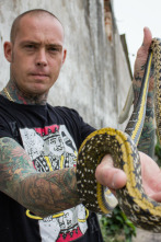 Imagen de Serpientes en la ciudad: Cobra real de lujo - 3