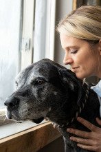 Imagen de Veterinarios de Nebraska (T3) - 4