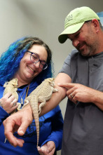 Imagen de Veterinarios de... (T4): Las gallinas se complican - 3