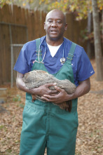 Imagen de Critter fixers:...: Conejito de cinta azul - 3