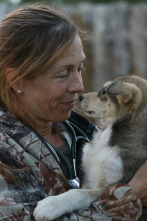 Imagen de Especial Una...: Mascotas patasombrosas - 4