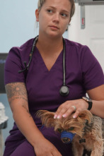 Imagen de Critter fixers:...: Una cabra muy hinchada - 3