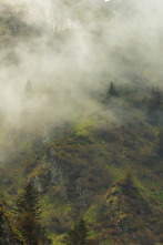 Imagen de El lado salvaje de los...: Invierno - 2