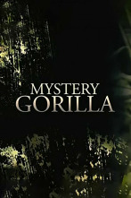 Imagen de Gorila misterioso - 6