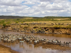 Imagen de El río más sangriento de África - 1