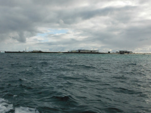 Imagen de Wild Hawaii: Tierra de fuego - 1