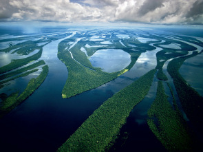 Imagen de Amazonía: Un mundo de agua dulce - 1