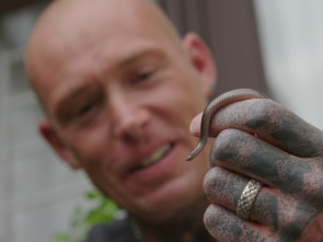 Imagen de Serpientes en la ciudad: Cumbres serpenteantes - 3