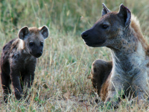Imagen de Creciendo en África: Lecciones de caza - 3