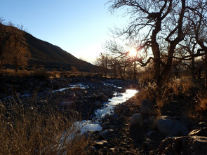 Wild Mongolia: tierra de extremos 