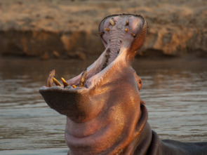 Imagen de Los más peligrosos de África: Botswana  - 3