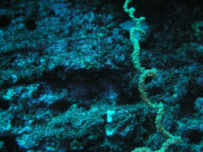 Imagen de Lugares salvajes de...: Las joyas del parque Tierra de Cañones - 1