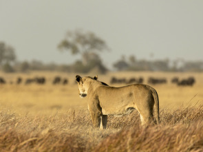 Imagen de Savage Kingdom: El sacrificio de una madre - 2