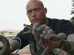 Imagen de Serpientes en la ciudad: Cobras aguafiestas - 3