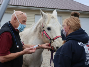 Imagen de El increíble doctor Pol: Juego de huesos - 1