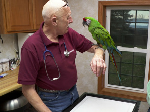 Imagen de El increíble doctor Pol  - 1