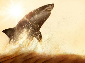 Imagen de Los tiburones del mar Rojo - 1