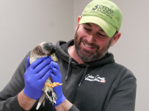 Veterinarios de Nebraska: Tienes un amigo en mí