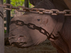 Imagen de Especial secretos del zoo Tampa  - 1