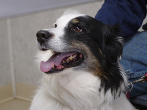 Imagen de Lo mejor de El...: Recuperaciones Pol-extraordinarias - 3