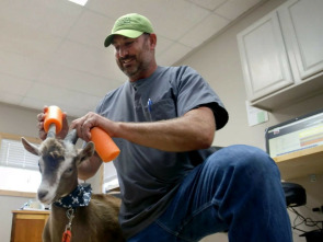 Imagen de Veterinarios de Nebraska: Pacientes inesperados - 1