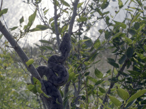 Imagen de El mundo secreto de...: Asia y Europa - 2