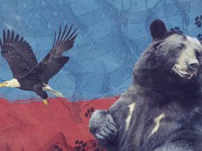 Imagen de Lo mejor de Animales de Estados Unidos  - 2